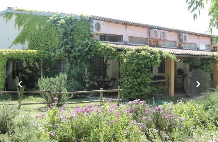 Апартаменты Il Piccolo Borgo Монтальто-ди-Кастро Экстерьер фото